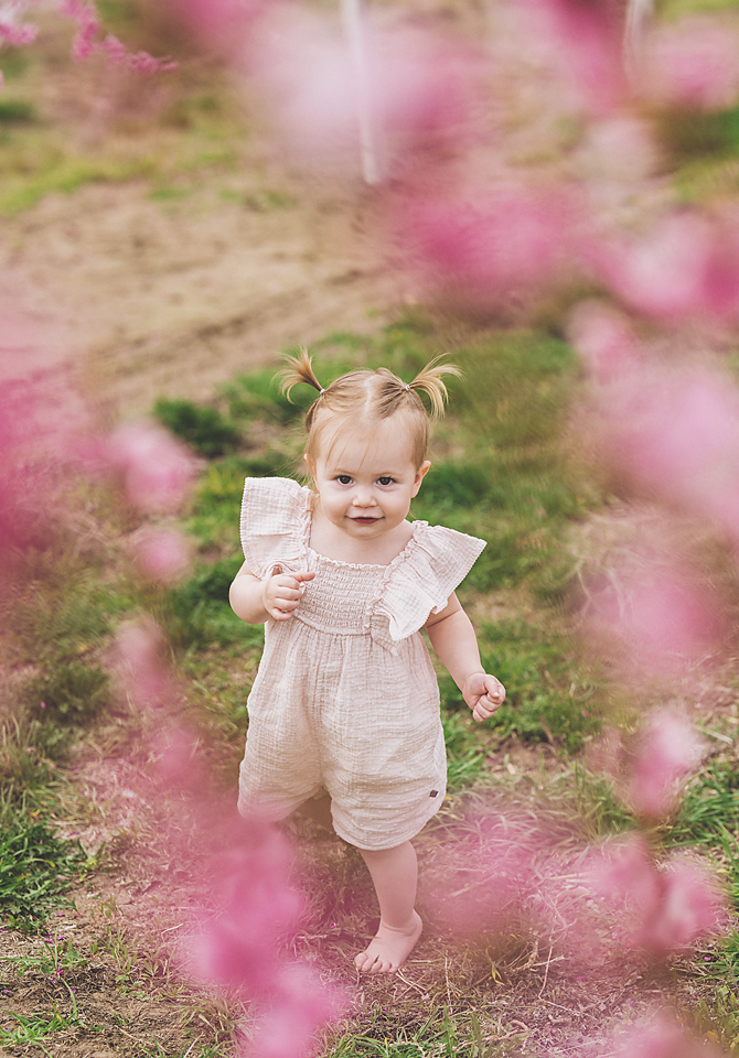 Mini Sessions