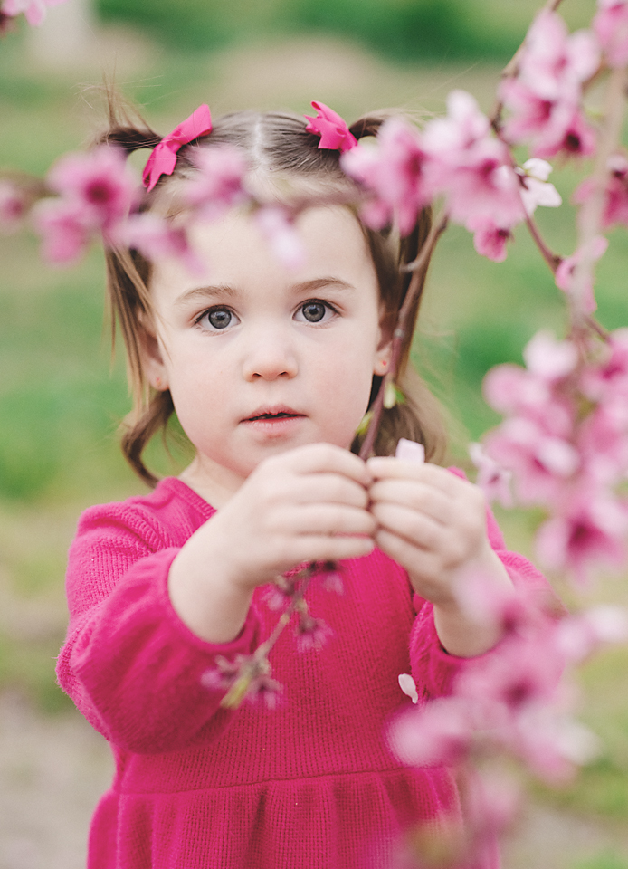 Portrait Portfolio
